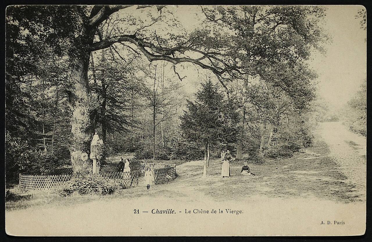 carte de France vierge
